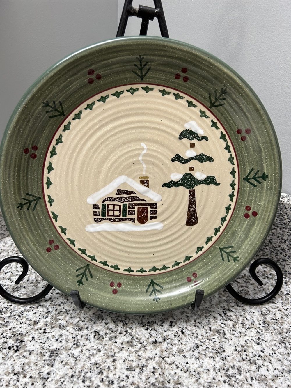 Sonoma Lodge Stoneware Dinner Plates (4)